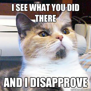 I see what you did there and I disapprove  Disapproval cat