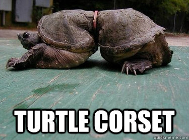  TURTLE CORSET -  TURTLE CORSET  Victorian Testudine