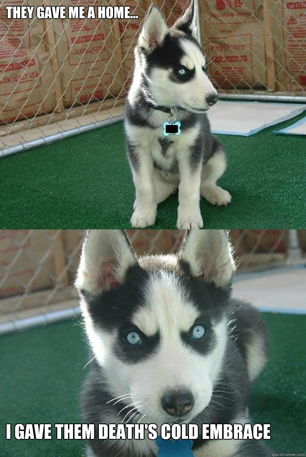 They gave me a home... 


I gave them death's cold embrace  Insanity puppy