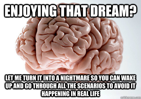 Enjoying that dream? Let me turn it into a nightmare so you can wake up and go through all the scenarios to avoid it happening in real life  Scumbag Brain