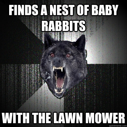 Finds a nest of baby rabbits with the lawn mower - Finds a nest of baby rabbits with the lawn mower  Insanity Wolf