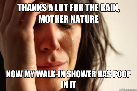 Thanks a lot for the rain, Mother Nature Now my walk-in shower has poop in it - Thanks a lot for the rain, Mother Nature Now my walk-in shower has poop in it  First World Problems