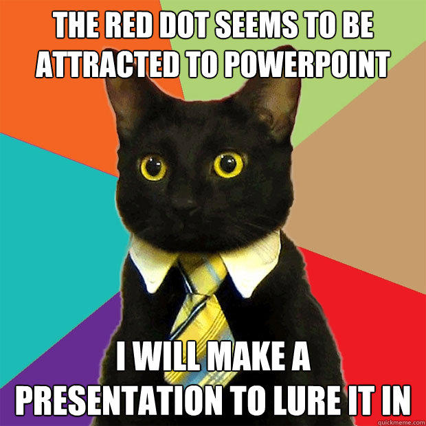 The red dot seems to be attracted to powerPoint I will make a presentation to lure it in  Business Cat