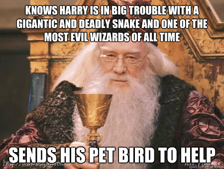 Knows Harry is in big trouble with a gigantic and deadly snake and one of the most evil wizards of all time Sends his pet bird to help  Scumbag Dumbledore