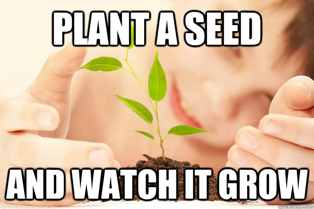 plant a seed and watch it grow - plant a seed and watch it grow  Karma Plant