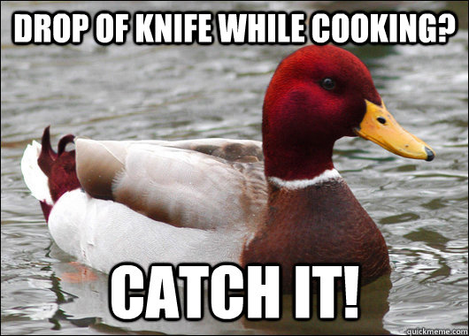 drop of knife while cooking? catch it!  Malicious Advice Mallard