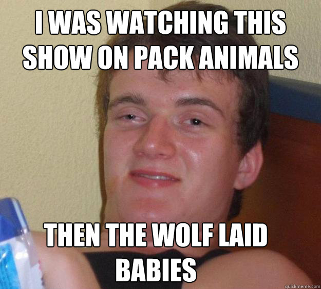 I was watching this show on pack animals then the wolf laid babies  10 Guy