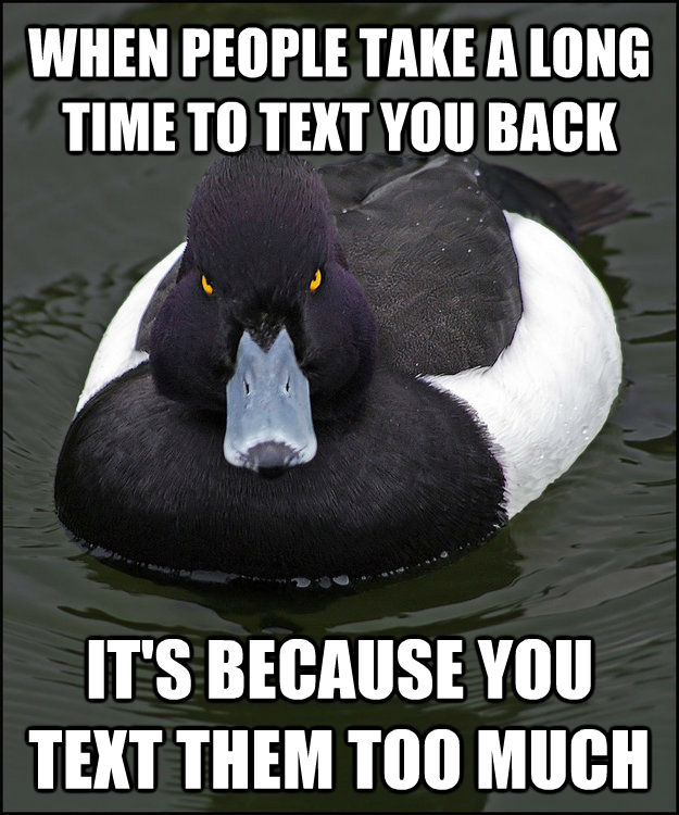 WHEN PEOPLE TAKE A LONG TIME TO TEXT YOU BACK IT'S BECAUSE YOU TEXT THEM TOO MUCH  Angry Advice Duck