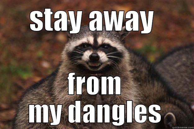 STAY AWAY  FROM MY DANGLES Evil Plotting Raccoon