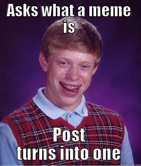 ASKS WHAT A MEME IS POST TURNS INTO ONE Bad Luck Brian