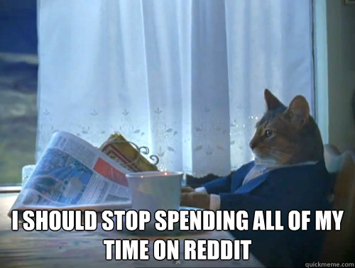  I should stop spending all of my time on reddit  The One Percent Cat