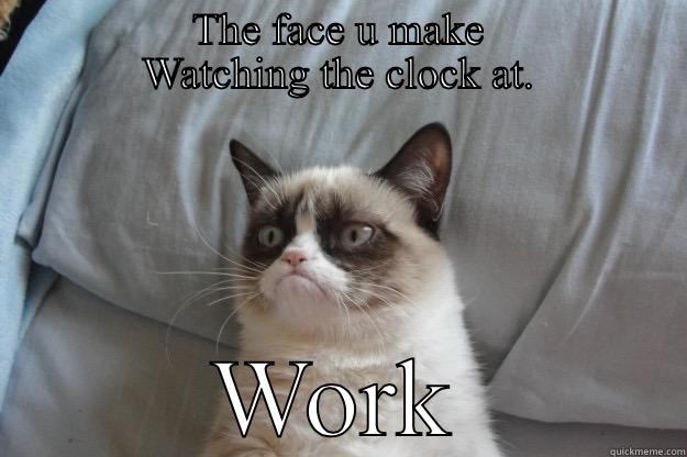             THE FACE U MAKE              WATCHING THE CLOCK AT. WORK Grumpy Cat