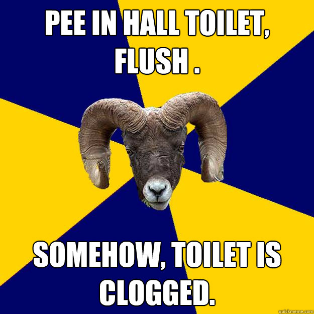 Pee in hall toilet, flush . Somehow, toilet is clogged.  Suffolk Kid Ram