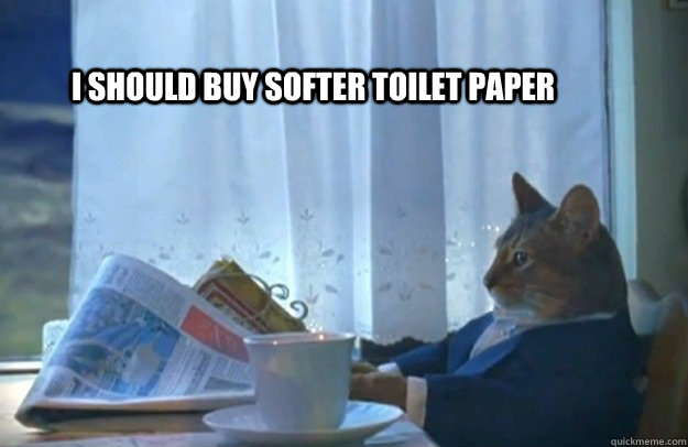 I should buy softer toilet paper  Sophisticated Cat
