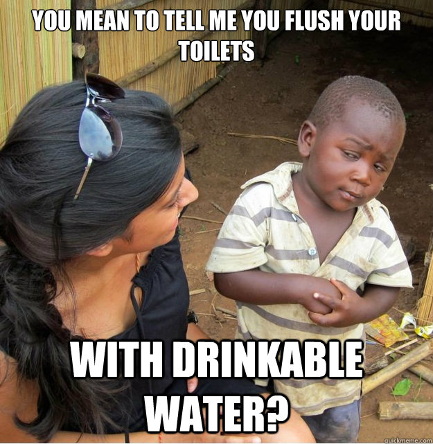 You mean to tell me you flush your toilets with drinkable water?  Skeptical Third World Kid