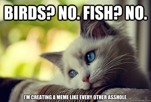 birds? no. fish? no. i'm creating a meme like every other asshole.  First World Problems Cat