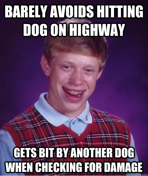 Barely avoids hitting dog on highway Gets bit by another dog when checking for damage  Bad Luck Brian