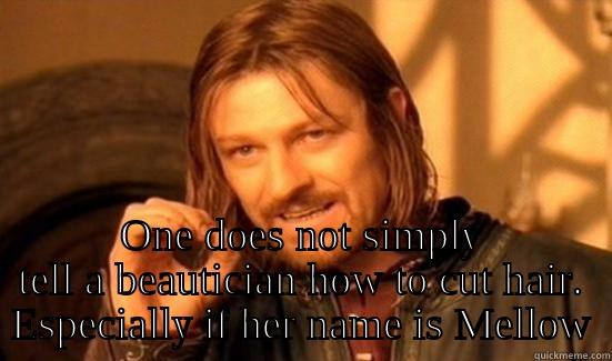  ONE DOES NOT SIMPLY TELL A BEAUTICIAN HOW TO CUT HAIR. ESPECIALLY IF HER NAME IS MELLOW Boromir
