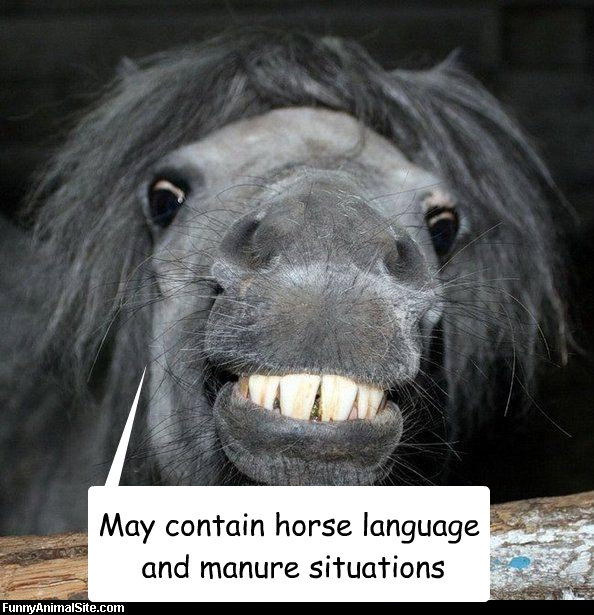 May contain horse language
 and manure situations - May contain horse language
 and manure situations  Crazy grandma horse