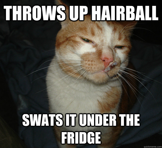 Throws up hairball Swats it under the fridge  Good Guy Cat