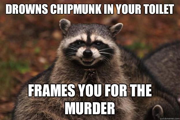 Drowns chipmunk in your toilet Frames you for the murder - Drowns chipmunk in your toilet Frames you for the murder  Evil Plotting Raccoon