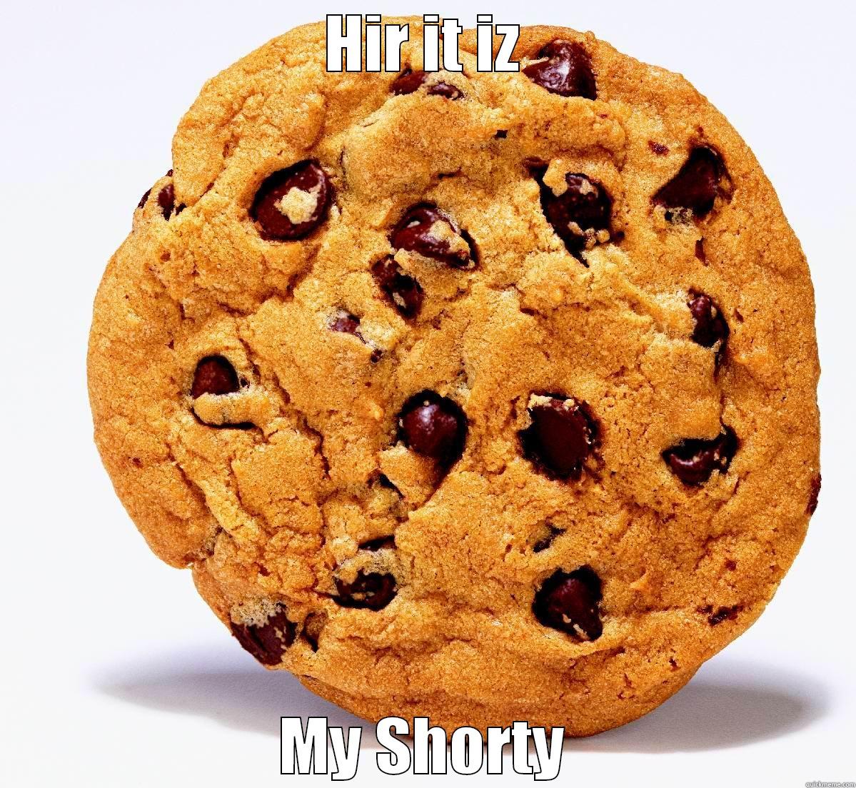 HIR IT IZ MY SHORTY Misc