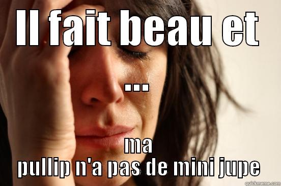 IL FAIT BEAU ET ... MA PULLIP N'A PAS DE MINI JUPE First World Problems