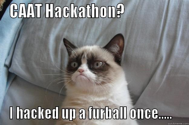 Hackathon 2013 - CAAT HACKATHON?                    I HACKED UP A FURBALL ONCE.....   Grumpy Cat