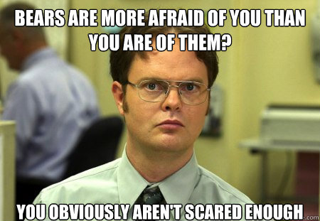 bears are more afraid of you than you are of them?
 You obviously aren't scared enough - bears are more afraid of you than you are of them?
 You obviously aren't scared enough  Dwight