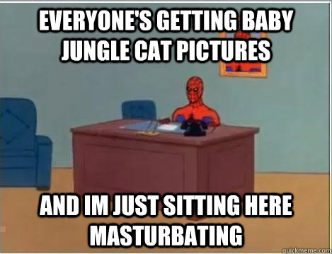 Everyone's getting baby jungle cat pictures and im just sitting here masturbating  Spiderman Desk