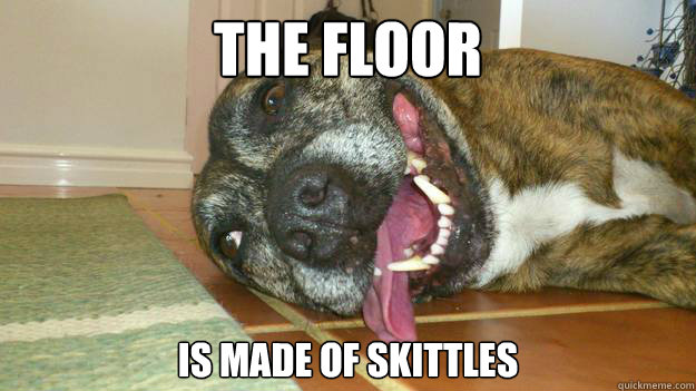 The floor is made of skittles  Acid Dog