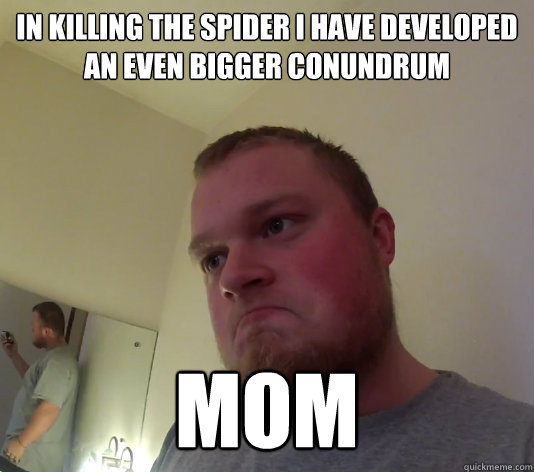 In killing the spider I have developed an even bigger conundrum mom - In killing the spider I have developed an even bigger conundrum mom  Misc