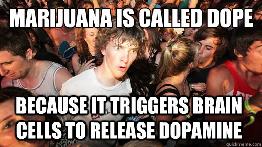 Marijuana is called dope because it triggers brain cells to release dopamine  Sudden Clarity Clarence