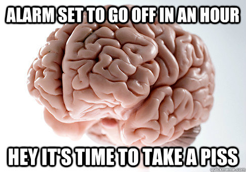 alarm set to go off in an hour hey it's time to take a piss  Scumbag Brain