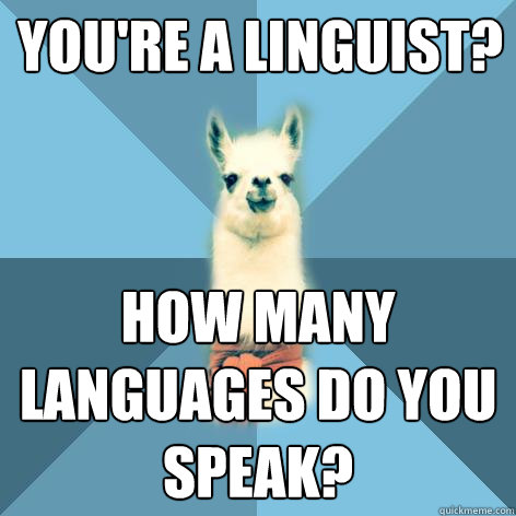 You're a linguist? HOW many languages do you speak? - You're a linguist? HOW many languages do you speak?  Linguist Llama