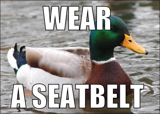 WEAR A SEATBELT Actual Advice Mallard