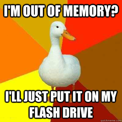 I'm out of memory? I'll just put it on my flash drive  Tech Impaired Duck