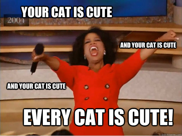 Your cat is cute Every cat is cute! And your cat is cute And your cat is cute - Your cat is cute Every cat is cute! And your cat is cute And your cat is cute  oprah you get a car
