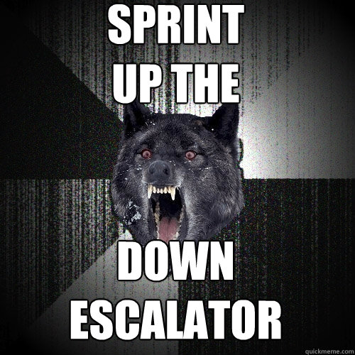 SPRINT
UP THE 


DOWN 
ESCALATOR   Insanity Wolf