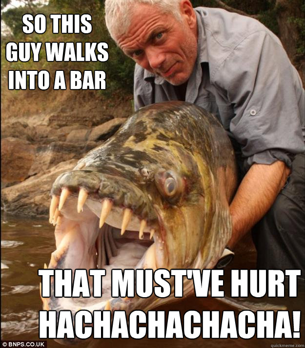 So this guy walks into a bar That must've hurt Hachachachacha!  Comedy Fish