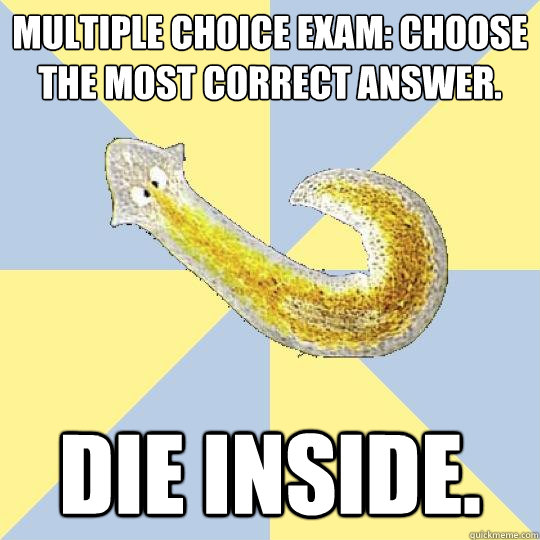 Multiple Choice Exam: Choose the most correct answer. Die inside.  