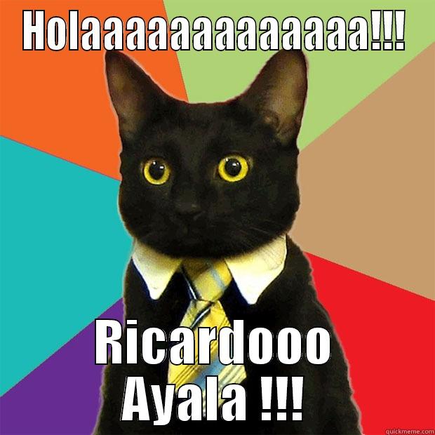 HOLAAAAAAAAAAAAA!!! RICARDOOO AYALA !!! Business Cat
