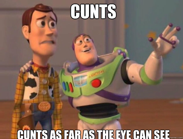 cunts cunts as far as the eye can see - cunts cunts as far as the eye can see  buzz woody