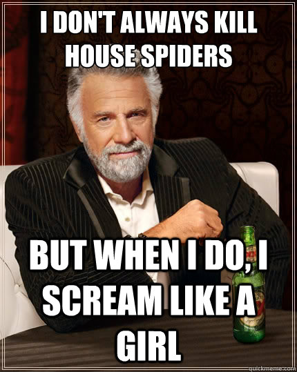 I don't always kill house spiders But when i do, I scream like a girl  The Most Interesting Man In The World