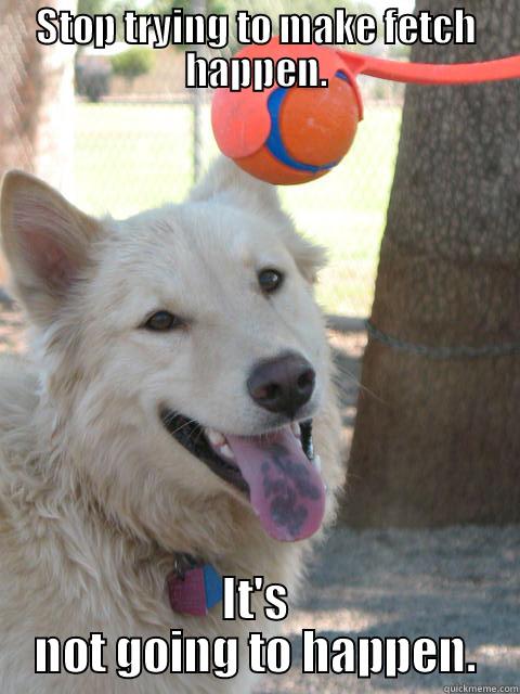 STOP TRYING TO MAKE FETCH HAPPEN. IT'S NOT GOING TO HAPPEN. Misc