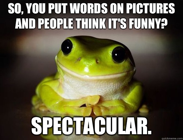 So, you put words on pictures and people think it's funny? Spectacular.  - So, you put words on pictures and people think it's funny? Spectacular.   Fascinated Frog