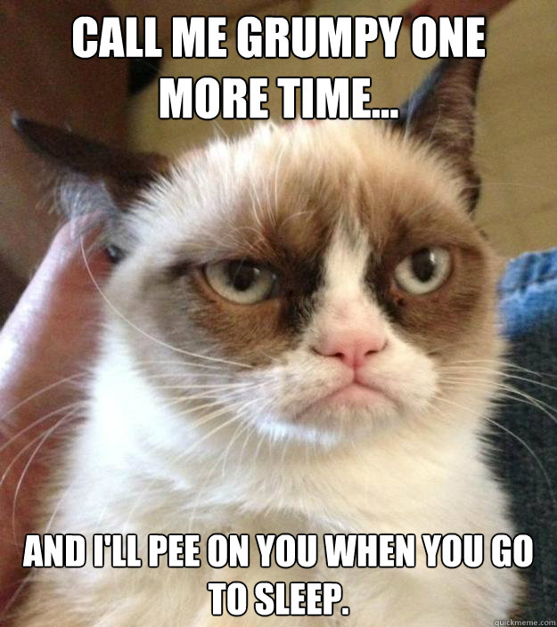 Call me grumpy one 
more time... And I'll pee on you when you go to sleep.  - Call me grumpy one 
more time... And I'll pee on you when you go to sleep.   Misc