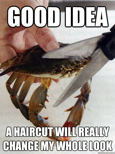 Good idea A haircut will really change my whole look  Optimistic Crab
