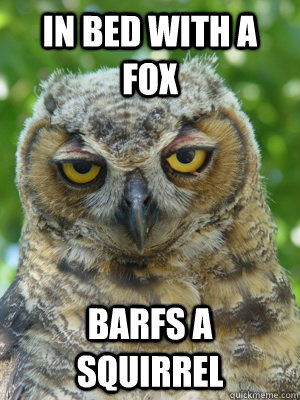 in bed with a fox barfs a squirrel - in bed with a fox barfs a squirrel  Stoner Owl