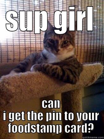 dashing cat - SUP GIRL CAN I GET THE PIN TO YOUR FOODSTAMP CARD? The Most Interesting Cat in the World